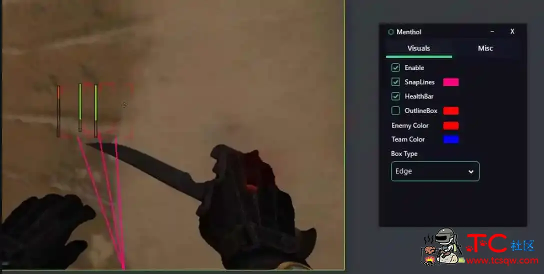 CSGOMenthol免费合法方框透视简易功能辅助 TC辅助网www.tcsq1.com8709