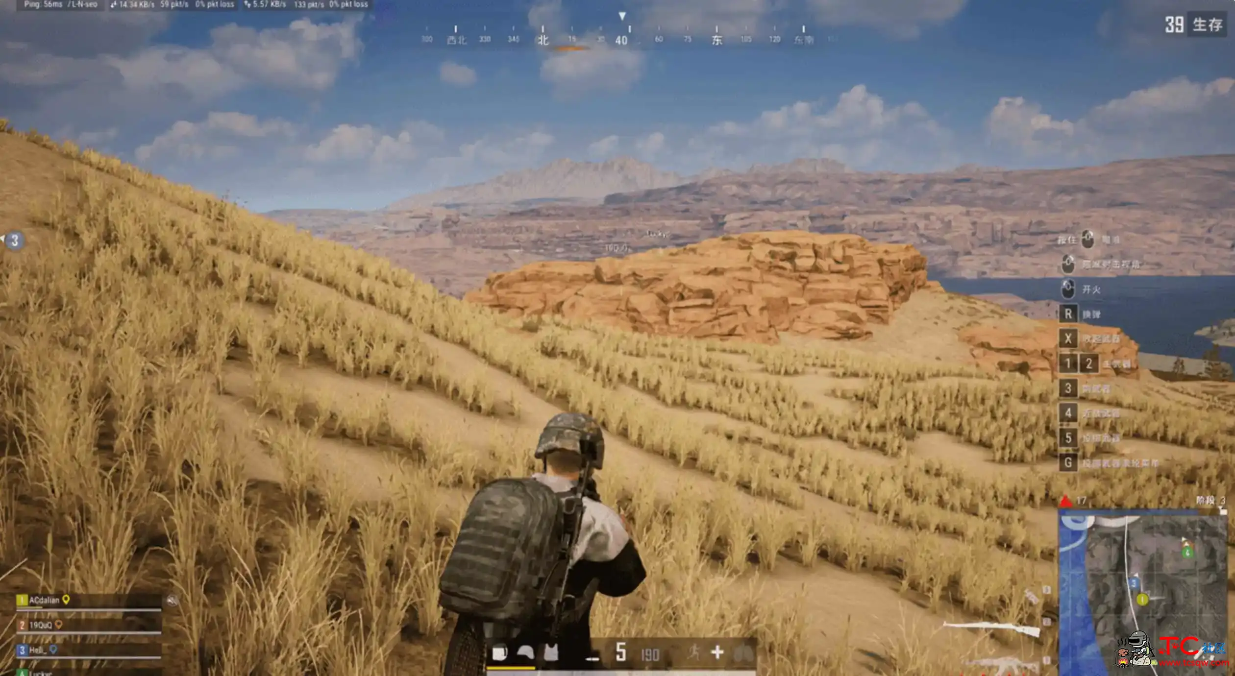 PUBG绝地求生白虎-API单锁v10.18C语言 TC辅助网www.tcsq1.com1316