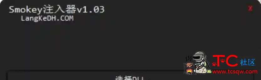 Smokey注入器CSGO无VAC检测注入器 TC辅助网www.tcsq1.com426