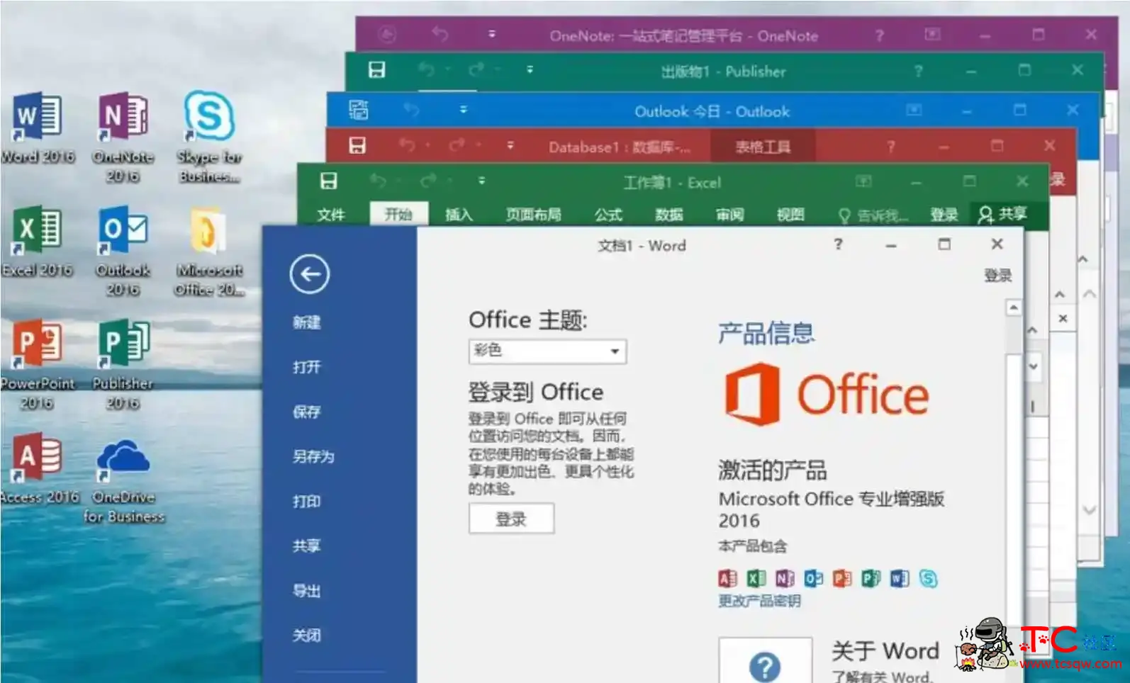 微软Office 2016 批量授权版商业版批量授权工具 TC辅助网www.tcsq1.com2653