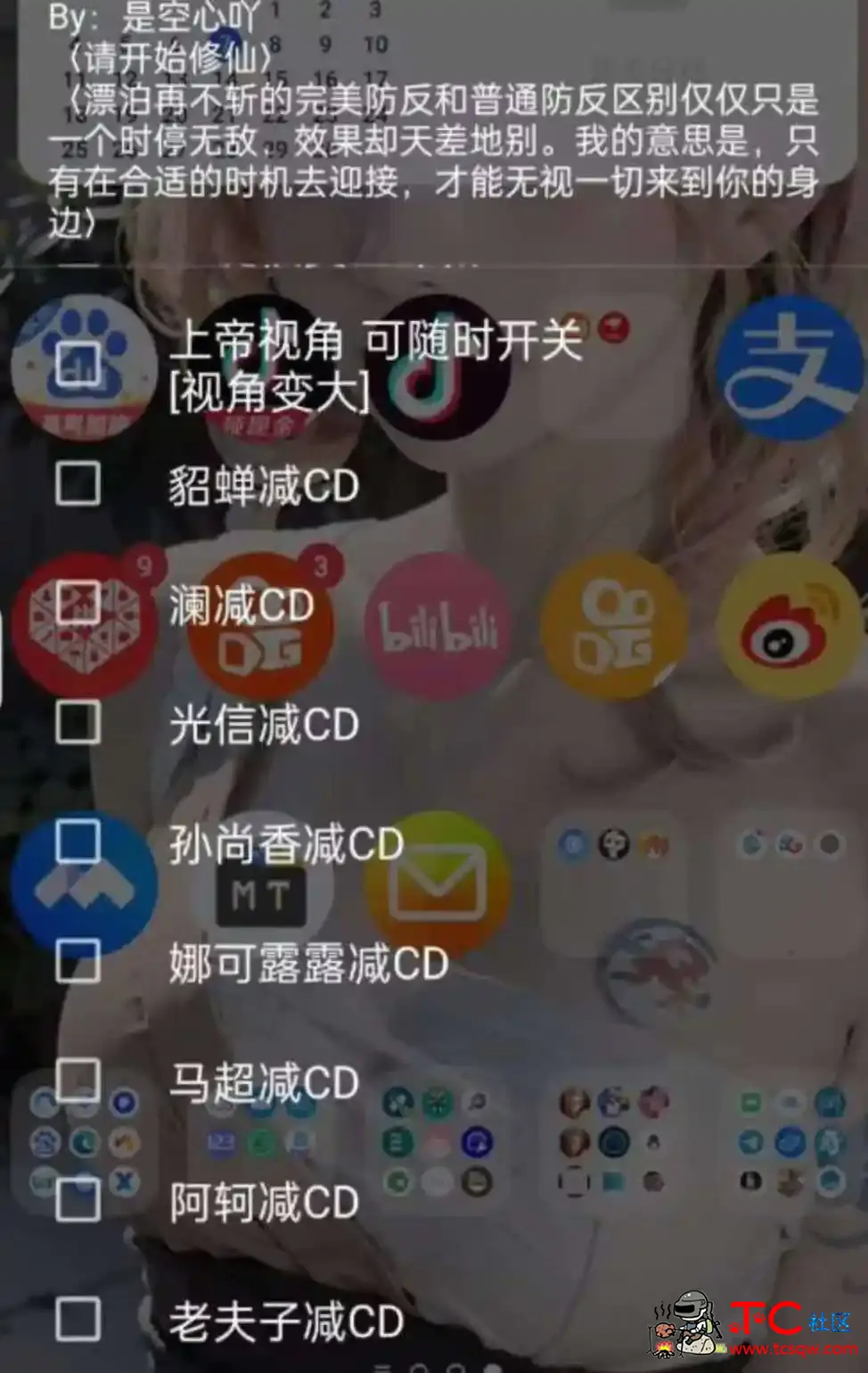 王者荣耀空闲上帝视角多英雄减CD内置脚本 TC辅助网www.tcsq1.com9691