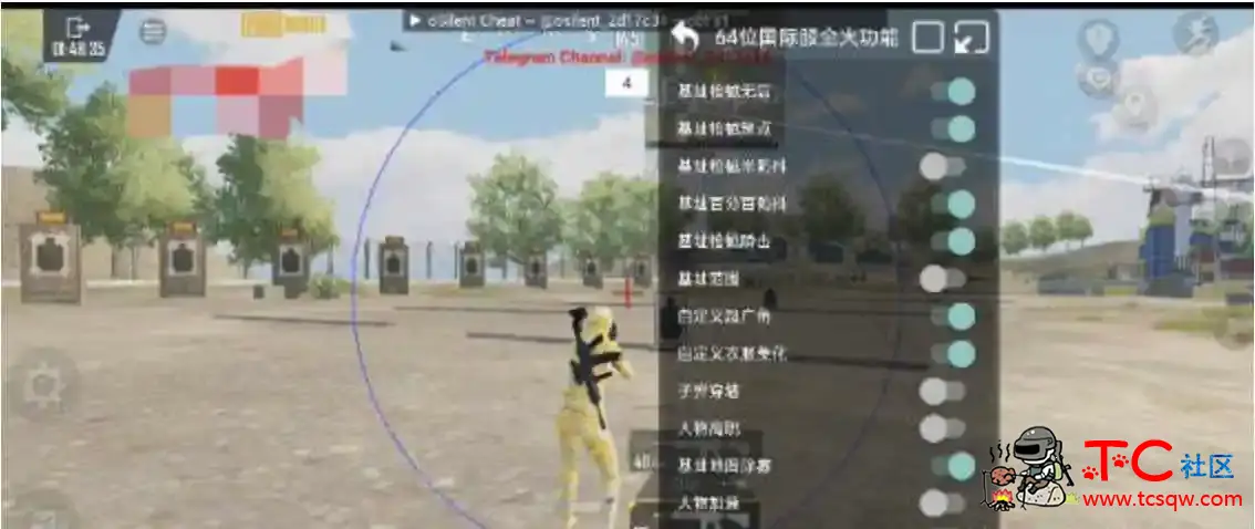 PUBG国际服WR无后聚点范围多功能内置脚本 TC辅助网www.tcsq1.com3490