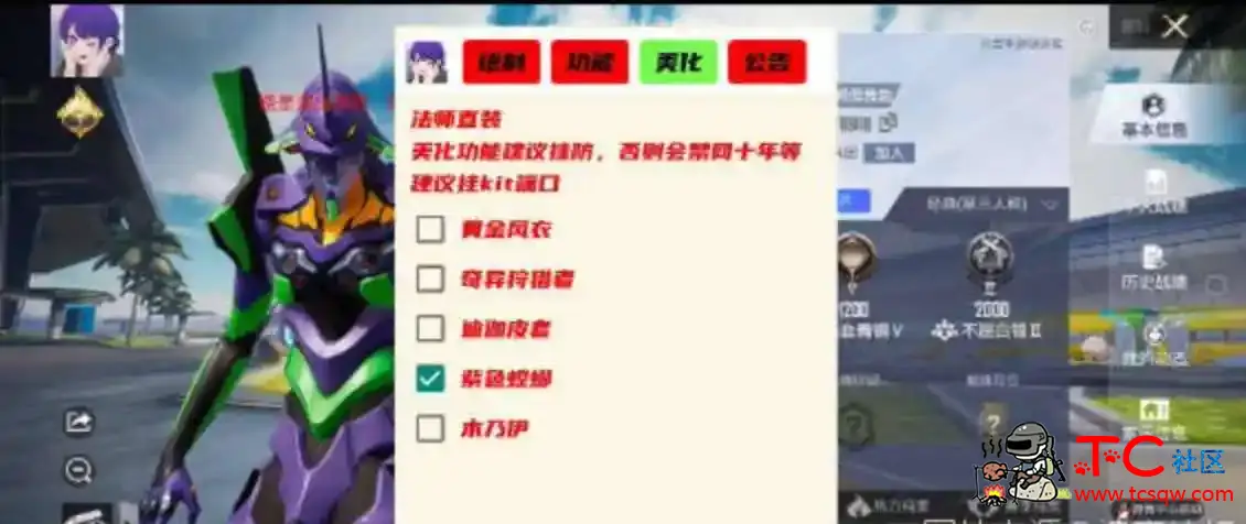 和平精英全职法师绘制自瞄无后多功能直装V2 TC辅助网www.tcsq1.com7308