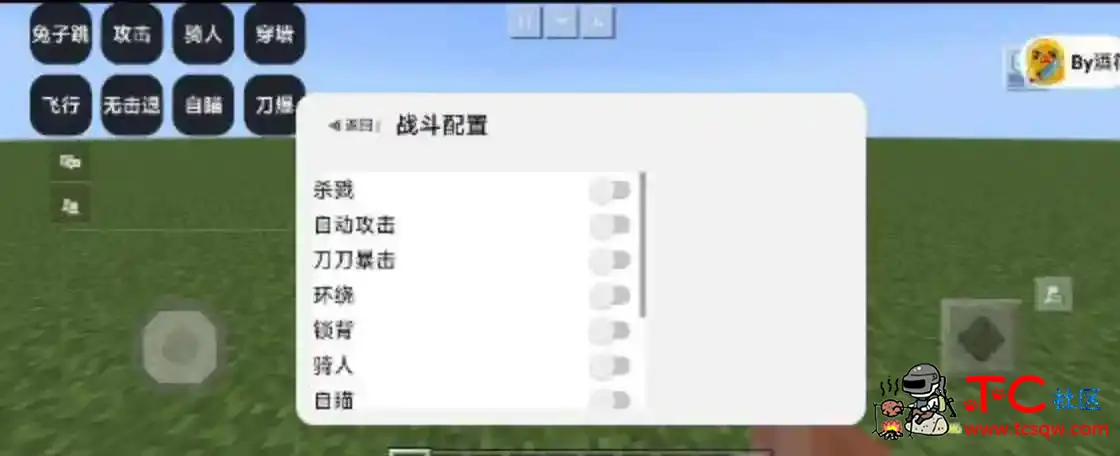 我的世界高仿GP自瞄刀秒等多功能直装 TC辅助网www.tcsq1.com2002