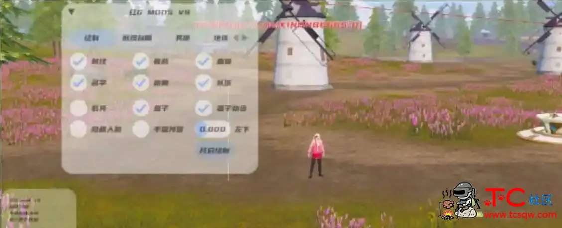 PUBG国际服红G绘制自瞄内存多功能容器直装v1.0 TC辅助网www.tcsq1.com3478