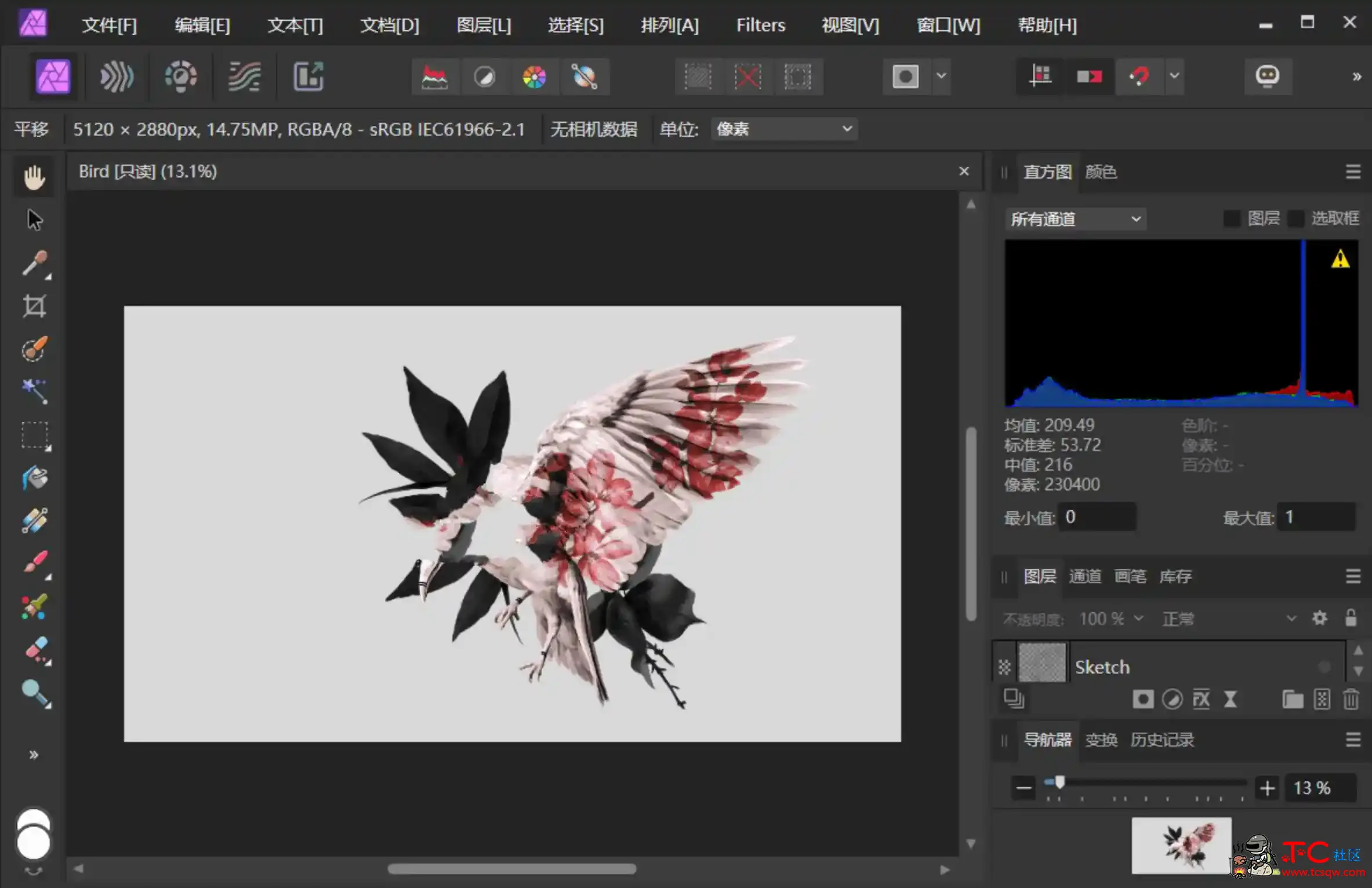 Affinity Photo v2.3.0.2165绿色版照片图片编辑软件 TC辅助网www.tcsq1.com5610