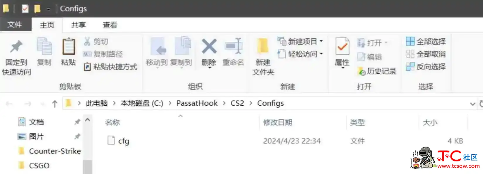 CS免费绿演透視梓瞄 外部注入 TC辅助网www.tcsq1.com2698