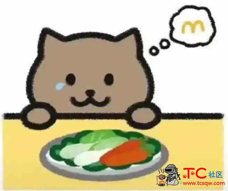 胖猫谭竹事件全过程 TC辅助网www.tcsq1.com9023