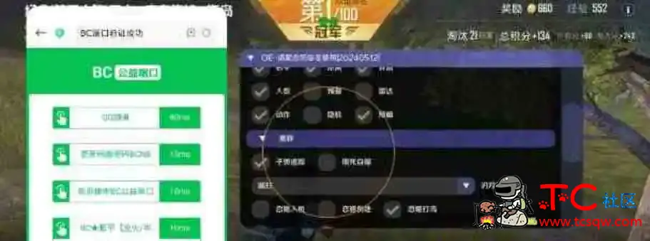 和平精英公益防封端口4.0 TC辅助网www.tcsq1.com827