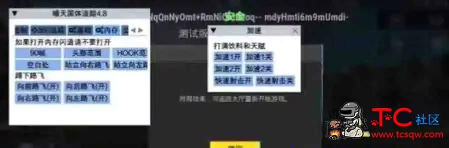 PUBG国体 晴天功能直装V4.8 TC辅助网www.tcsq1.com2958