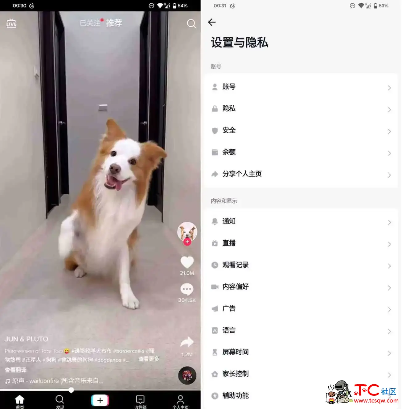 最新版TikTok 抖音国际版解锁版下载 v36.0.4 去广告 免拔卡 TC辅助网www.tcsq1.com9873