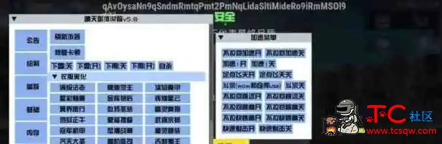 PUBG国体3.4.3晴天追踪V5.8 TC辅助网www.tcsq1.com751