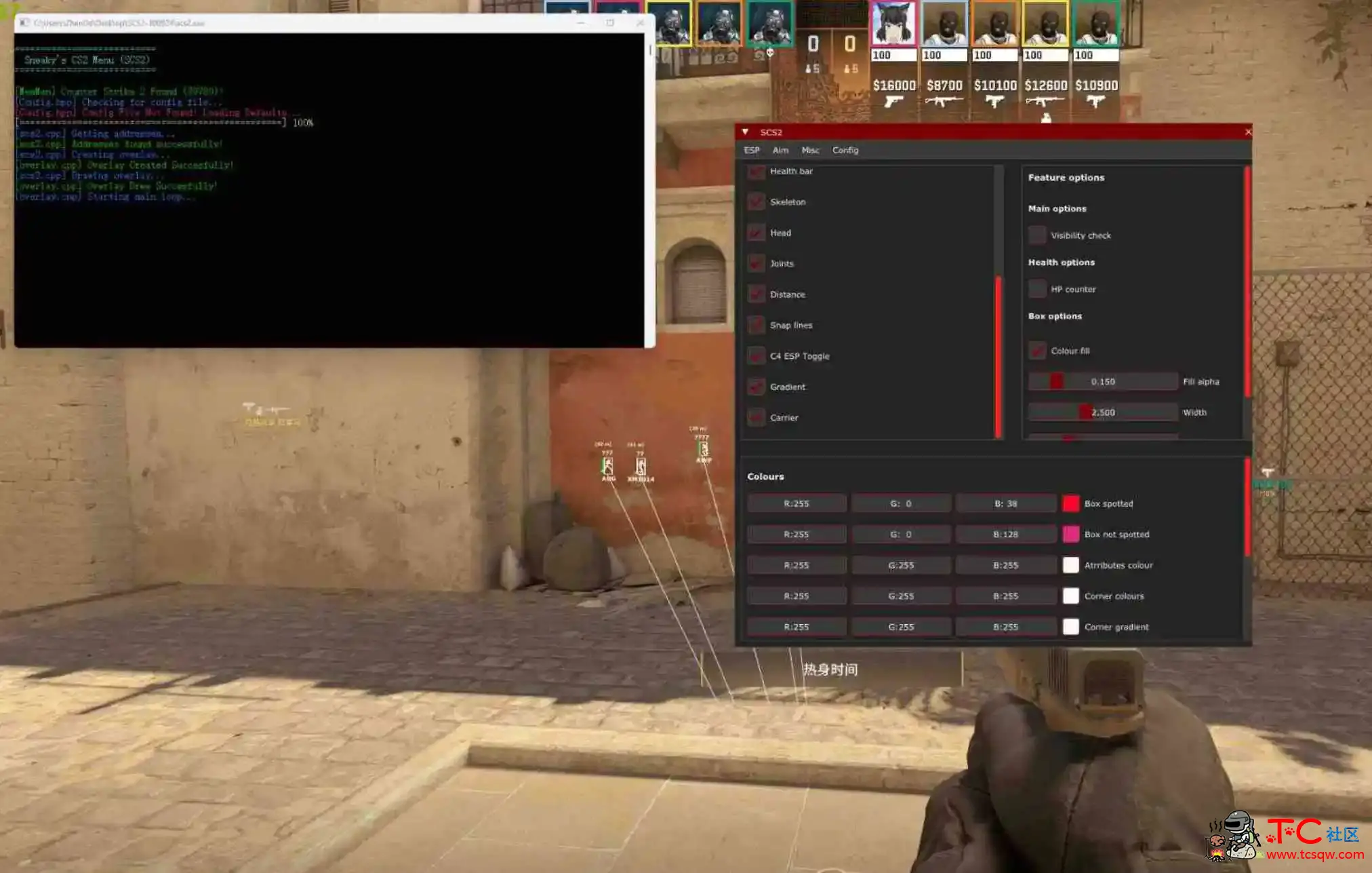 CS2 SCS2老外免费半外部辅助 TC辅助网www.tcsq1.com6389