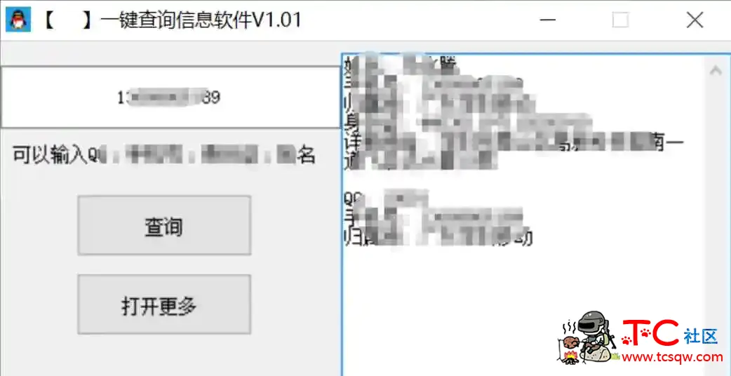 一键查询对汸信息軟件 TC辅助网www.tcsq1.com6030