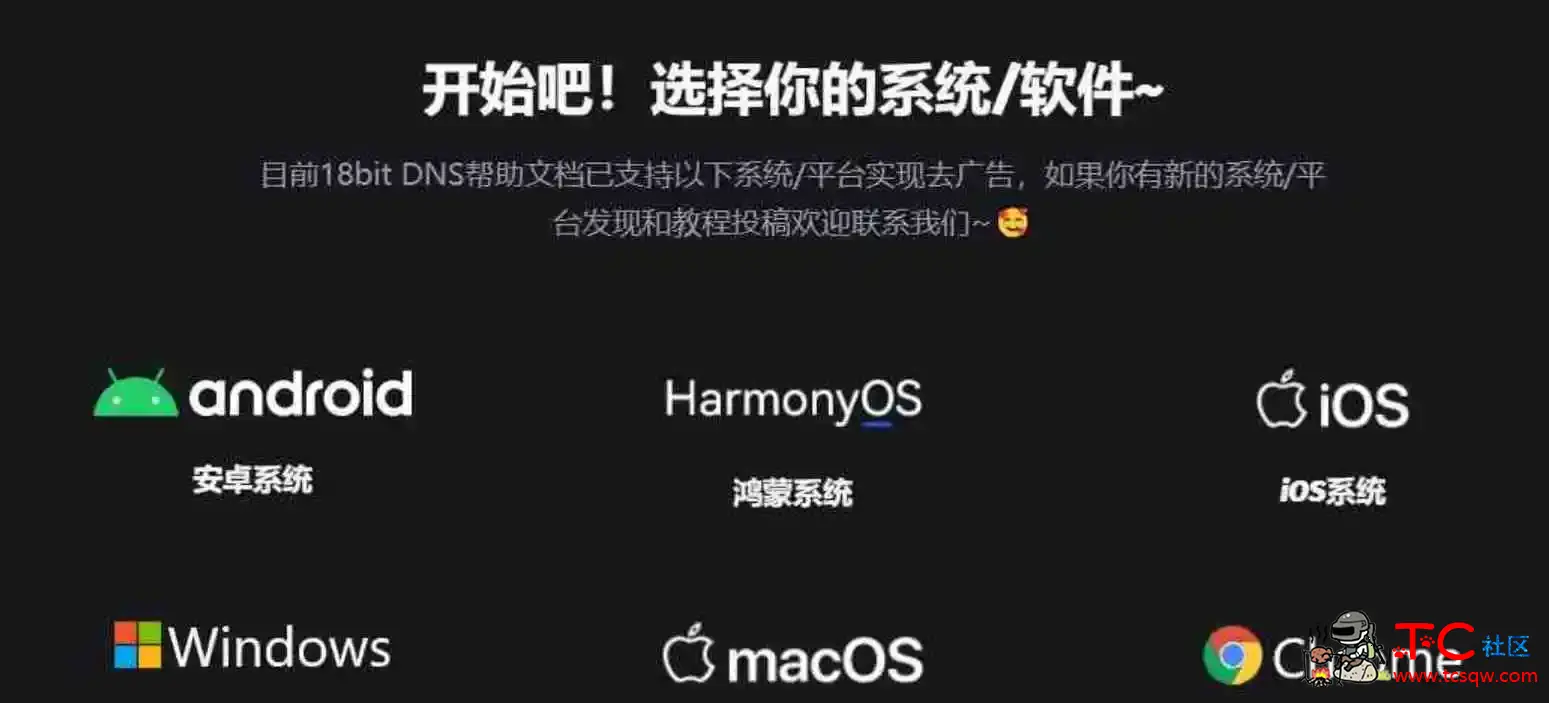 去广告DNS|全平台不用App软件去广告 TC辅助网www.tcsq1.com5488