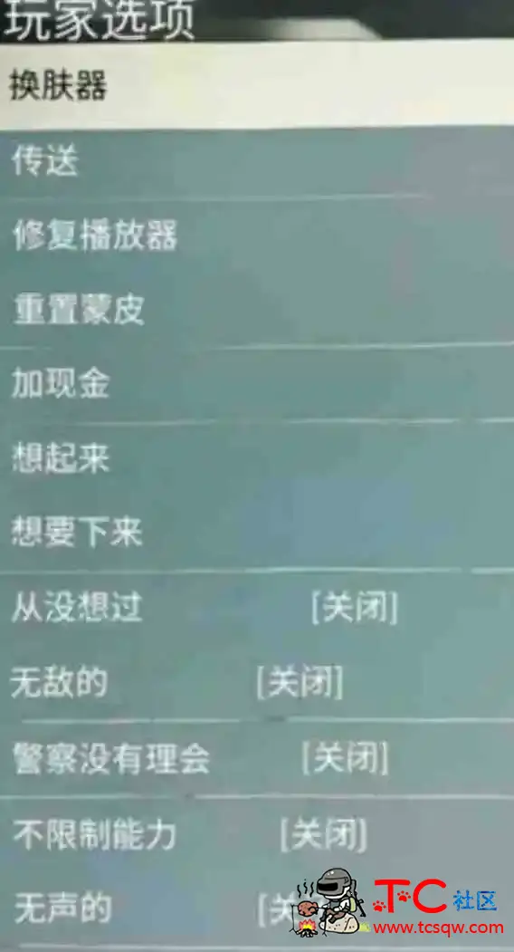 GTA5线下内置辅助 TC辅助网www.tcsq1.com9317