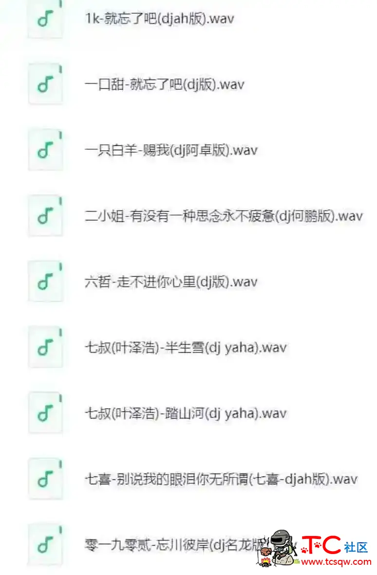 抖音热门华语劲爆车载DJ歌曲合集 TC辅助网www.tcsq1.com993