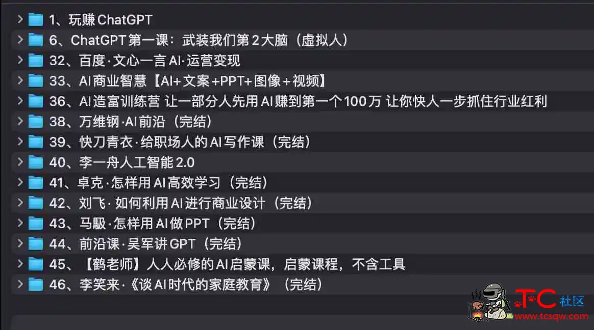 AI教程集合 万维钢 透透糖 李一舟等等 TC辅助网www.tcsq1.com613