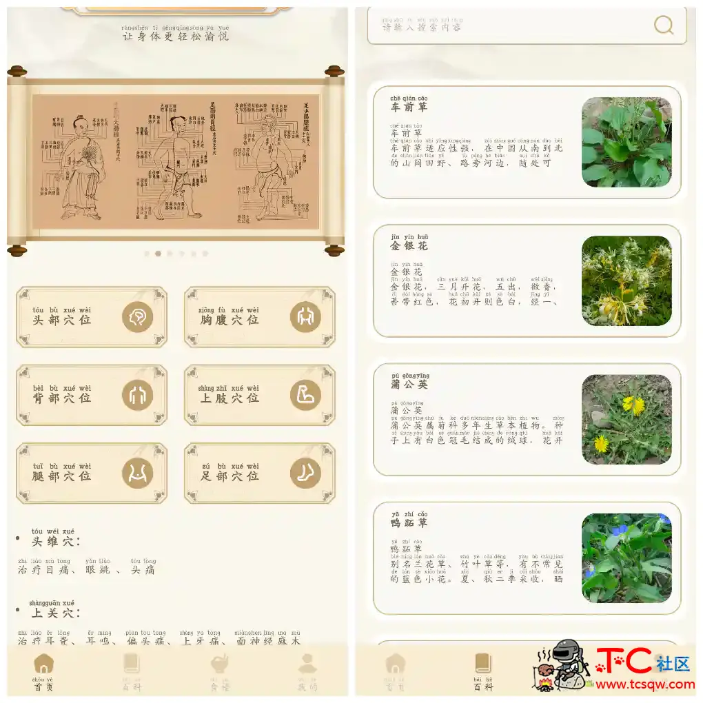 中医经络穴位典籍v1.1去广告版 中医爱好者必备 TC辅助网www.tcsq1.com1129