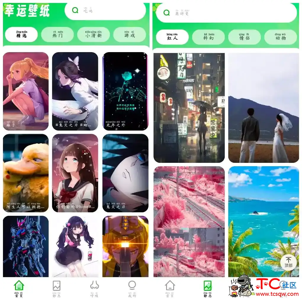 幸运壁纸v1.0.8会员版 一款提供海量桌面壁纸APP TC辅助网www.tcsq1.com2207