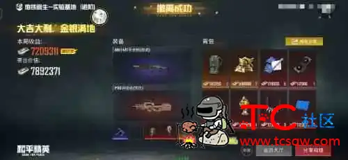 和平精英泡沫新赛季V12功能文件 TC辅助网www.tcsq1.com9617