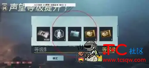 PUBG国际服公益AUG一体直装最新版 TC辅助网www.tcsq1.com742