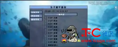 和平精英乐子容器直装 TC辅助网www.tcsq1.com1414