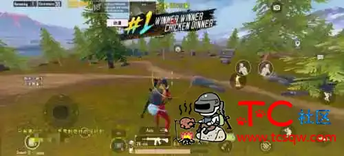 PUBG四服动漫公益一体直装 TC辅助网www.tcsq1.com8469