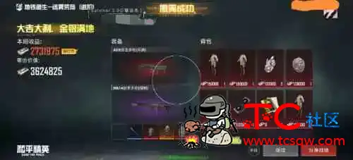 和平精英Survivor直装2.0破觧 TC辅助网www.tcsq1.com1912