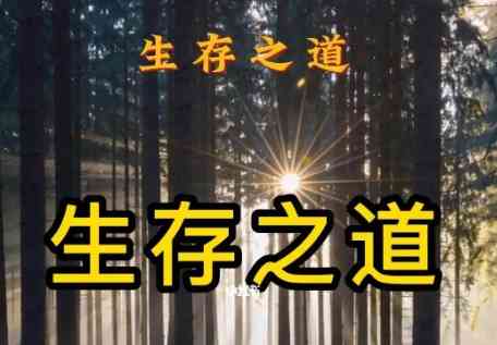 体制内生存之道 活得通透 自己开心 别人也舒服 TC辅助网www.tcsq1.com1226