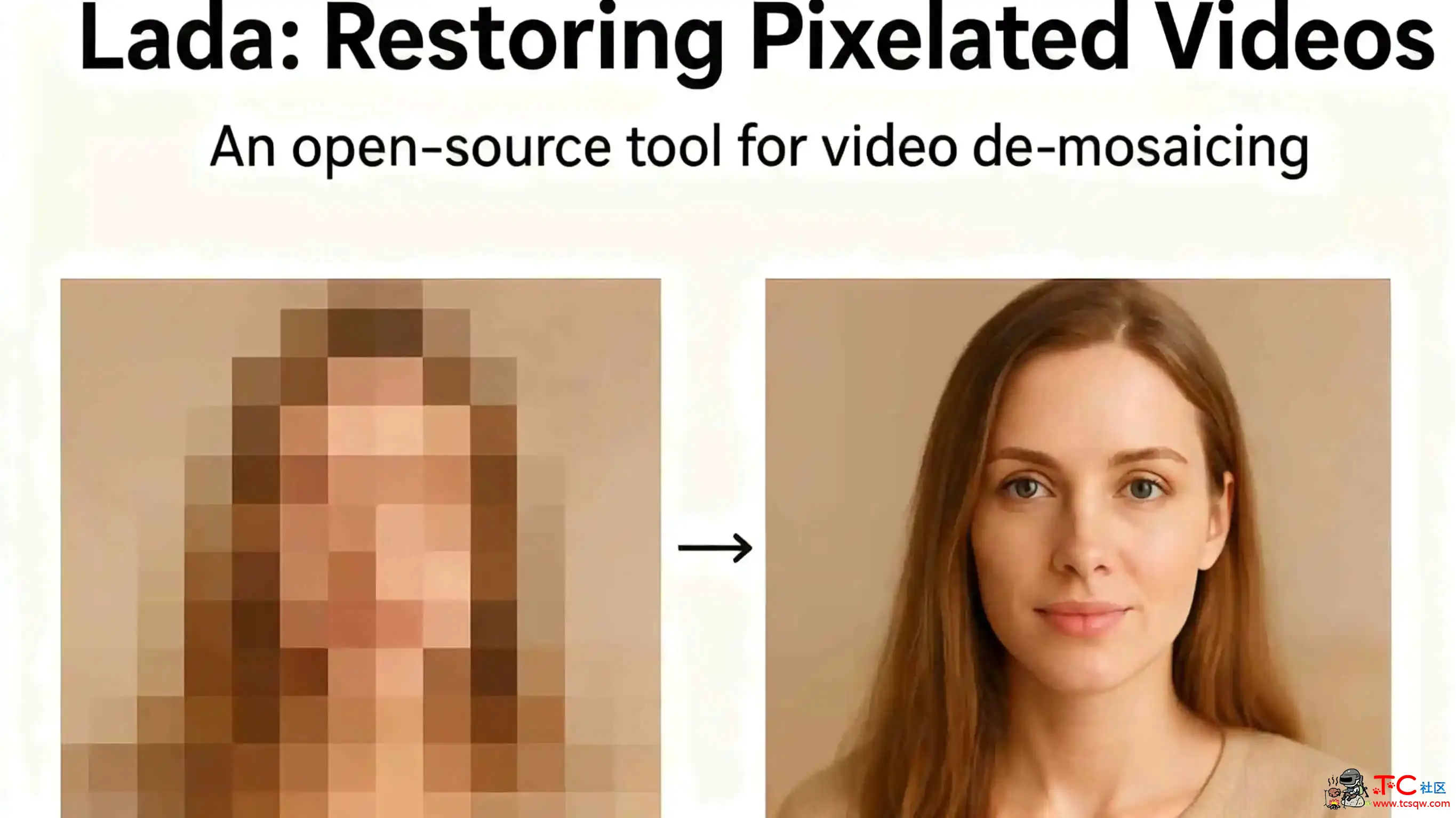 Lada  基于AI 视频像素化与马赛克去除开源工具 TC辅助网www.tcsq1.com1364