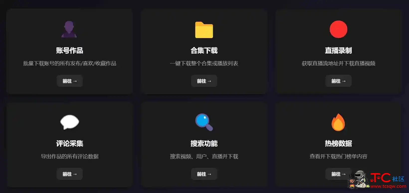 某音/TikTok一键下载器 直播及无水印下载视频|图集|音乐 TC辅助网www.tcsq1.com7334