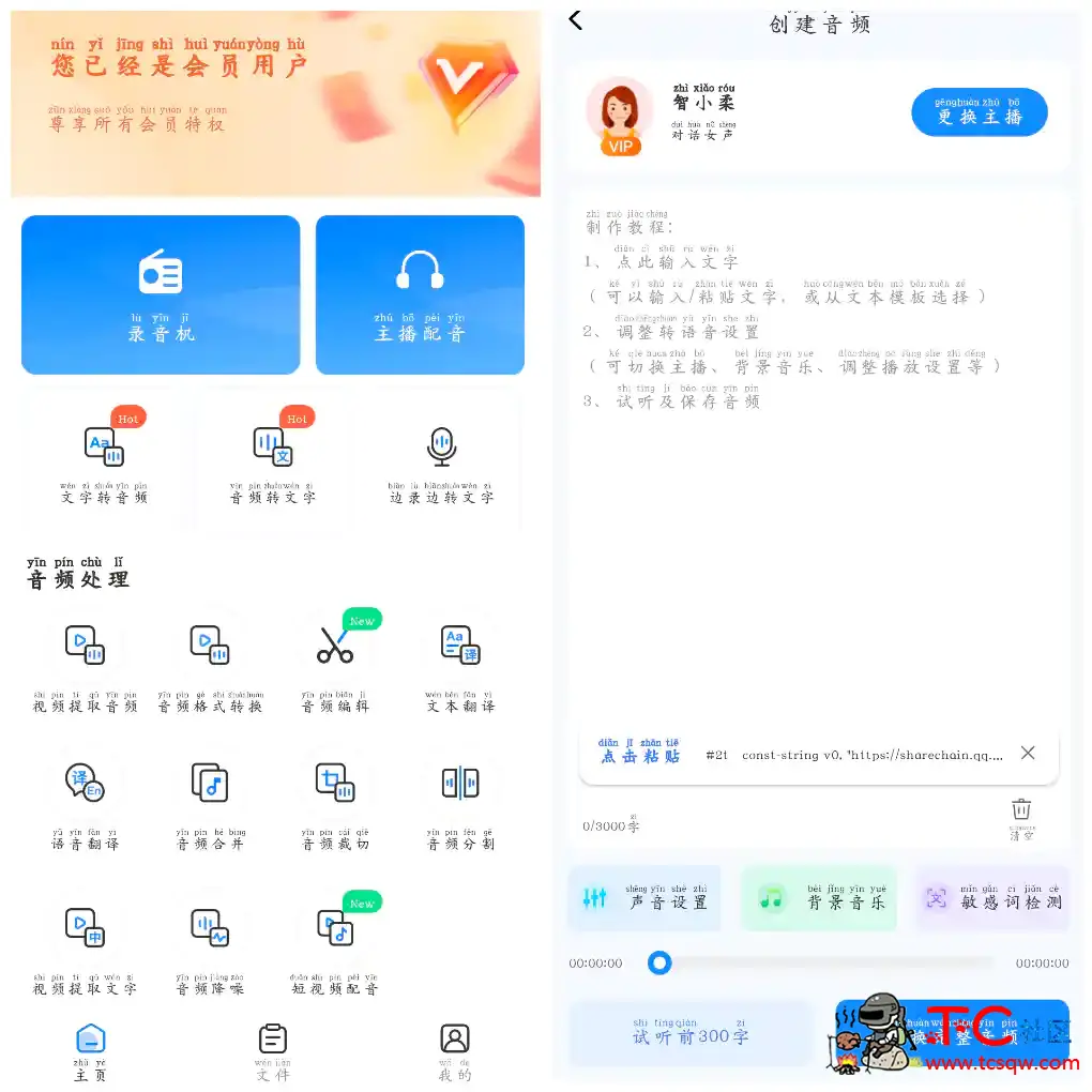 录音转换宝v4.12.10会员版  配音神器提供录音转文字 TC辅助网www.tcsq1.com2060