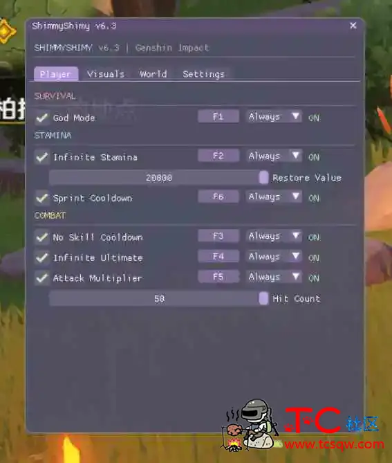 原神-Shimmy无敌倍功无冷却6.3国际服 TC辅助网www.tcsq1.com8598