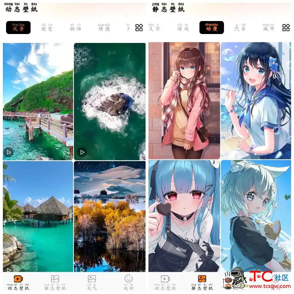 七彩虹壁纸v5.0.0会员版  高清壁纸资源 TC辅助网www.tcsq1.com9059