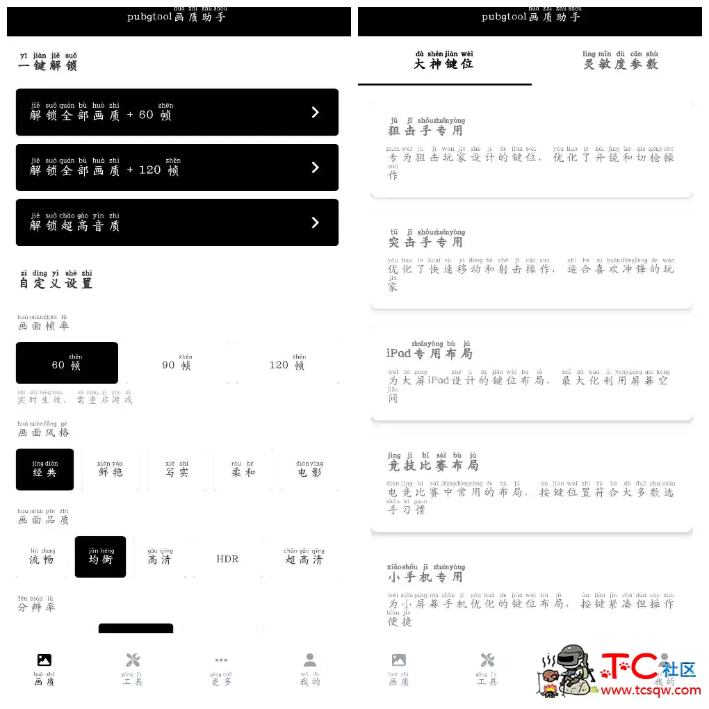 pubgtool画质助手v1.0.8.5会员版 画质 灵敏度 按键 TC辅助网www.tcsq1.com522