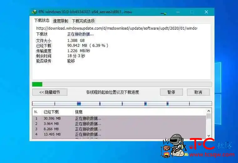 下载利器IDM v6.43.1绿色版 TC辅助网www.tcsq1.com1199