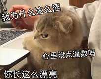 雏鸟用不了 求大佬破解雏鸟最新版