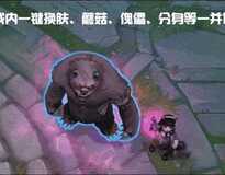 LOL兔子13.9换肤国际服版